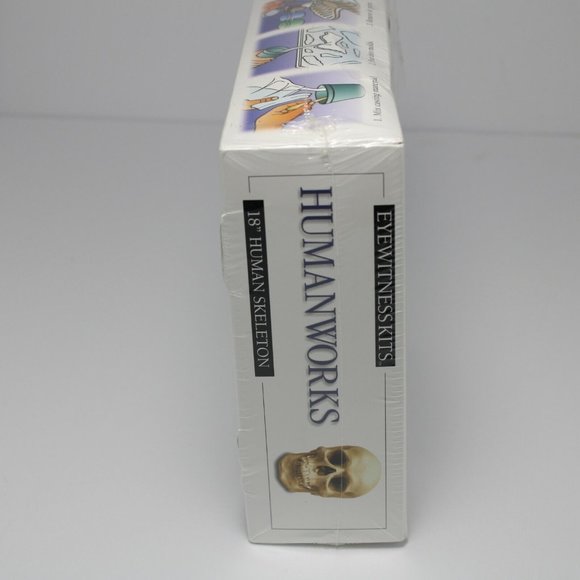 HUMANWORKS EYEWITNESS 18" CASTING KIT HUMAN SKELETON - Picture 2 of 4